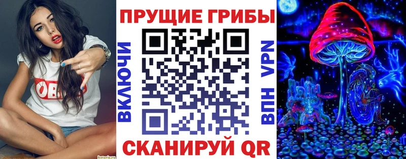 Псилоцибиновые грибы GOLDEN TEACHER  Ершов 